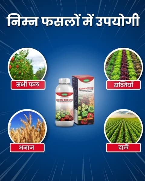 Katyayani Bloom Booster Homobrassinolide 0.04% Plant Growth Regulator, Use for Cotton, Brinjal, Chili, Banana, Cabbage, Cauliflower, Vegetables, Fruit - Image 5