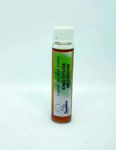 SporeKart King Oyster Mushroom Liquid Culture (10ml). Active Mycelium Liquid Spawn - Image 1