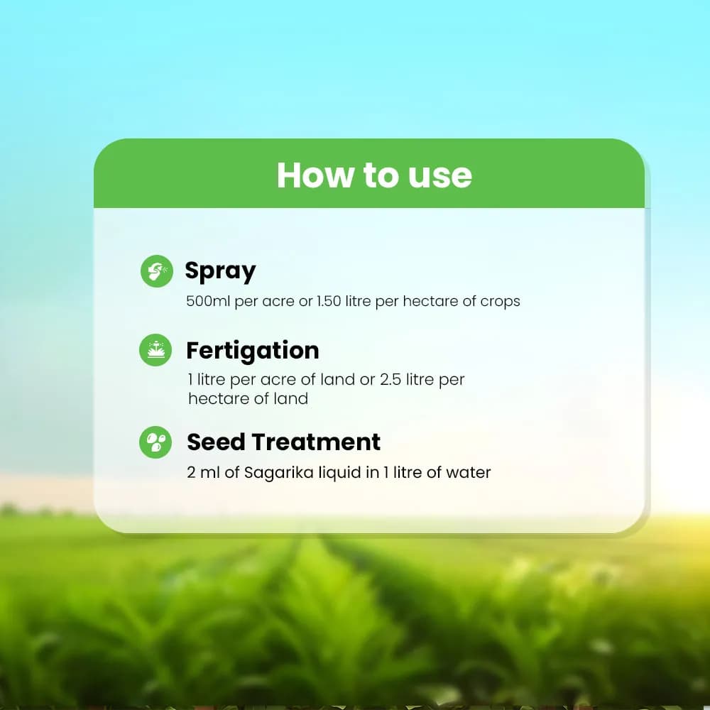 इफको सागरिका जैव उत्तेजक, पौधों में पोषक तत्वों के अवशोषण, प्रभावशीलता और फलन को बढ़ावा देता है। - Image 3