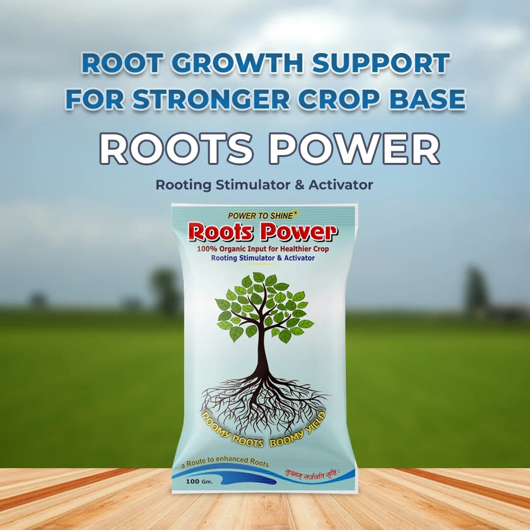 Roots Power - Rooting Stimulator & Activator - Image 2