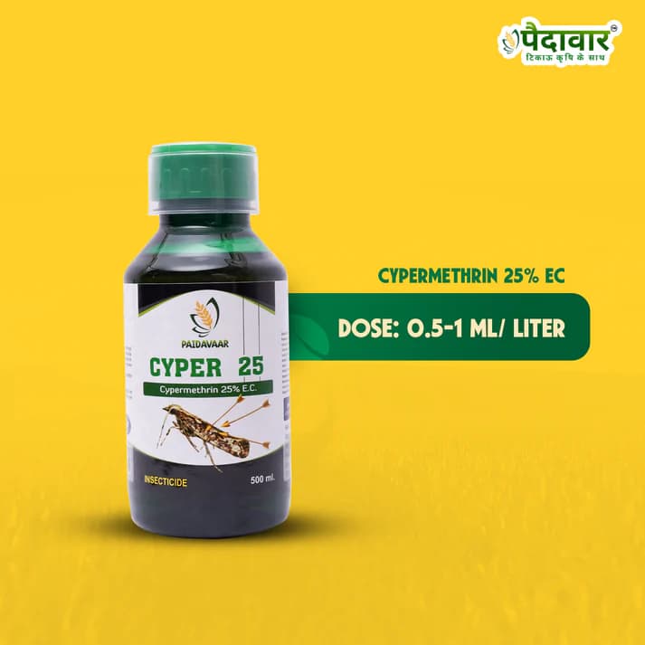 Paidavaar Cyper 25 Cypermethrin 25% EC Insecticide Powerful Broad Spectrum Crop Protection - Image 7