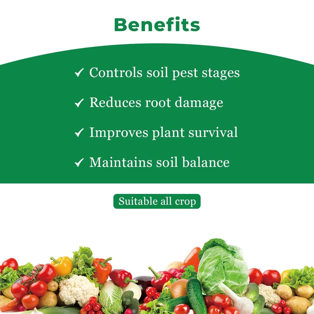 EBS Paecilomyces Lilacinus Bio Pesticide, Control Of Root - Knot Nematode, Ramiform Nematode, Cyst Nematode, Golden Cyst Nematode On All Crops - Image 4