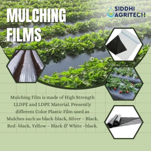 Siddhi Mulch Film Mulching Sheet, (1 Meter Width X 400 Meters Length) Black And White For Agriculture & Horticulture - Image 8