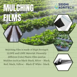 Siddhi Mulch Film Mulching Sheet, (1 Meter Width X 400 Meters Length) Black And White For Agriculture & Horticulture 8