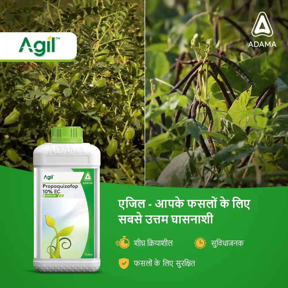 Adama Agil Herbicide - Image 6