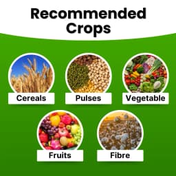 Katyayani NPK 19:19:19 100% Water Soluble Fertilizer for All Plants & Home Garden 2