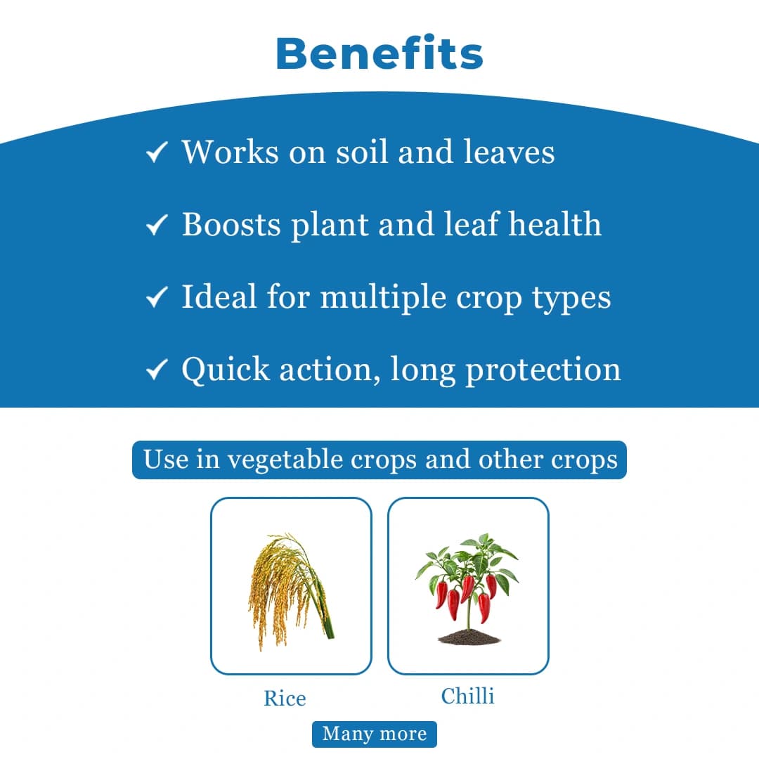 Gharda Tipsy Azoxystrobin 10% + Fipronil 5% Sc Fungicide + Insecticide. Used for Control Fruit Borer, Powdery Mildew, Sheath Blight, Plant Hopper etc. - Image 4