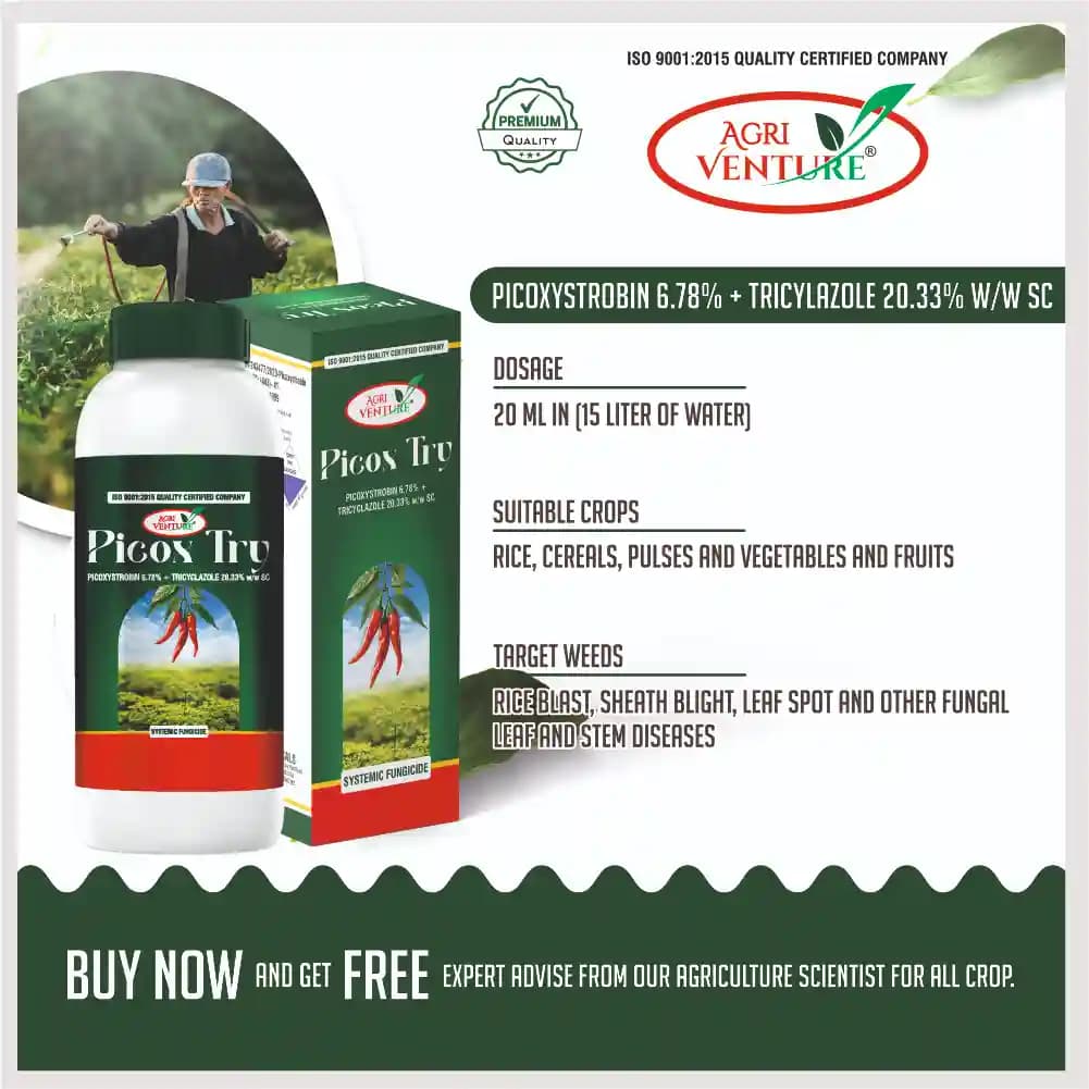 Agriventure Picox Try Picoxystrobin 6.78% + Tricyclazole 20.33% SC Fungicide - Image 4