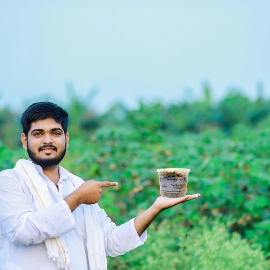 Lions Mane Mushroom Spawn Seed. White, globe-shaped fungi that have long, shaggy spines. - Image 6