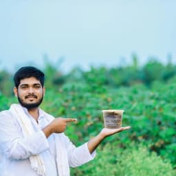 लायन'स मेन मशरूम स्पॉन बीज, सफेद, गोले के आकार वाले कवक जो लंबे, झबरीं कांटों से ढंके होते हैं। 5