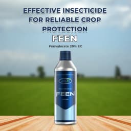 Agriventure Feen (Fenvalerate 20% EC), Recomended For Diamondback Moth, American Bollworm, Aphids 2