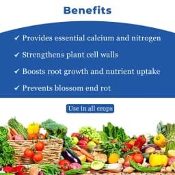 Cubic Calcium Nitrate, 100% Water Soluble, 15.5% Nitrogen (N) and 18.5% Calcium (Ca) 4