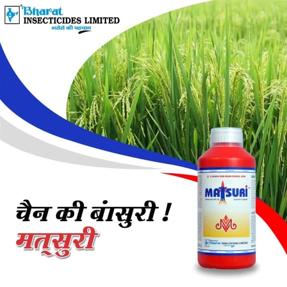 Bharat Certis Matsuri Thifluzamide 24% SC Fungicide, Effective For Sheath Blight Control In Rice - Image 2