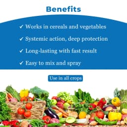 Coromandel Corostar Azoxystrobin 18.2% + Difenoconazole 11.4% Sc Contact and Systemic Fungicide 4