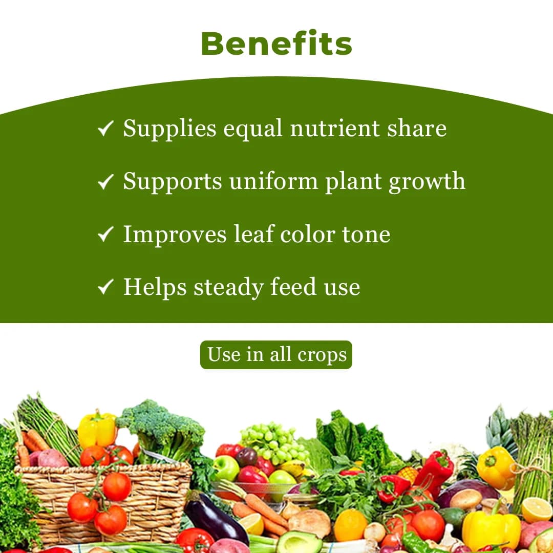 NPK 19:19:19 Water Soluble Fertilizer For Plants And Vegetables For Fast Growth And Flowering. - Image 4