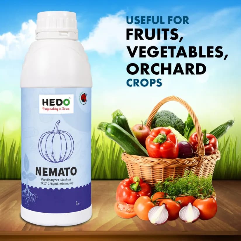 HEDO Nemato Pacilomyces Lilacinus Bio Organic Liquid For Agriculture, Garden & All Crops To Control Various Nematode And Other Soil Borne Diseases - Image 3