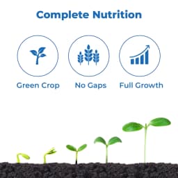 FMC Cazbo (Calcium 21% + Zinc 1.5% + Boron 0.1%) Micronutrient, Helps Plants Build Cell Wall Structure and Strength, Use for All Crops. 3
