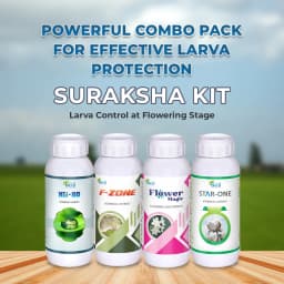 Suraksha Kit For Larva Control at Flowering Stage 45-80 Days (F-Zone 250 ML + Star One 250 ML + Flower Magic 250 ML +NB 80 250 ML) 2
