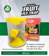 T.Stanes Entrap Fruit Fly Trap, Eco-Friendly & Effective Male Fruit Fly Control For Various Fruits - Image 2