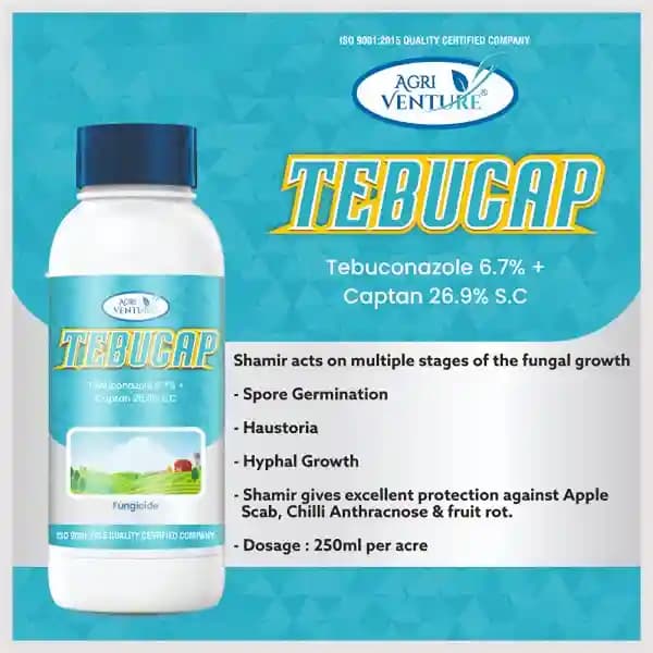 Agriventure TEBUCAP Tebuconazole 6.7% + Captan 26.9% SC Fungicide, Contact and Systemic, Impacts Multiple Stages of Fungal Growth. - Image 4