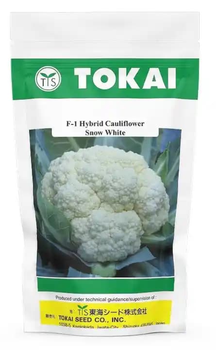 Hybrid Cauliflower Snow White Seeds, Gobhi Ke Beej, Kobi Na Bee, Medium - Large Compact Frame - Image 1