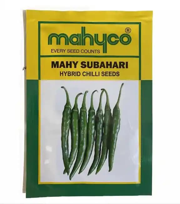 माहिको एफ1 संकर सुभाहरी मिर्च के बीज, हरी मिर्च के बीज, पूरे साल उगने वाली किस्म