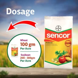 Bayer Sencor Metribuzin 70% WP Herbicide, Selective Herbicide, Effective Control On Weeds. 8