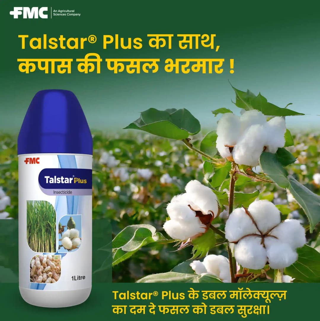 FMC Talstar Plus Bifenthrin 8% + Clothianidin 10% SC, Broad Spectrum Insecticide, Controlling a Wide Range of Sucking and Chewing Insects - Image 6