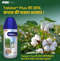 FMC Talstar Plus Bifenthrin 8% + Clothianidin 10% SC, Broad Spectrum Insecticide, Controlling a Wide Range of Sucking and Chewing Insects 6