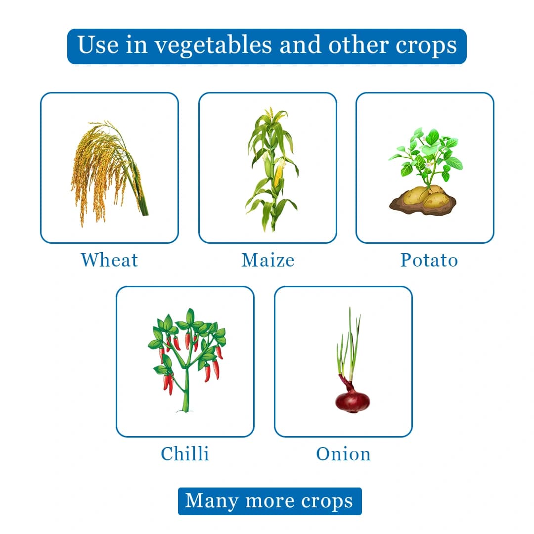 Agriventure CYPERMEN (Profenofos 40% + Cypermethrin 4% EC) Insecticides, Control Bollworm - Image 5