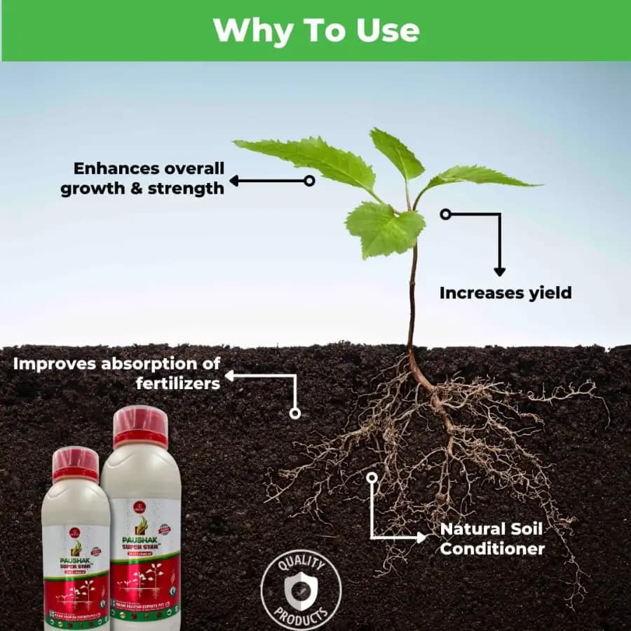 Krishi Rasayan PAUSHAK SUPER STAR Gibberellic Acid 0.45% SL Plant Growth Stimulant, Improve Flowering, Fruiting And Chlorophyll In Crops - Image 5