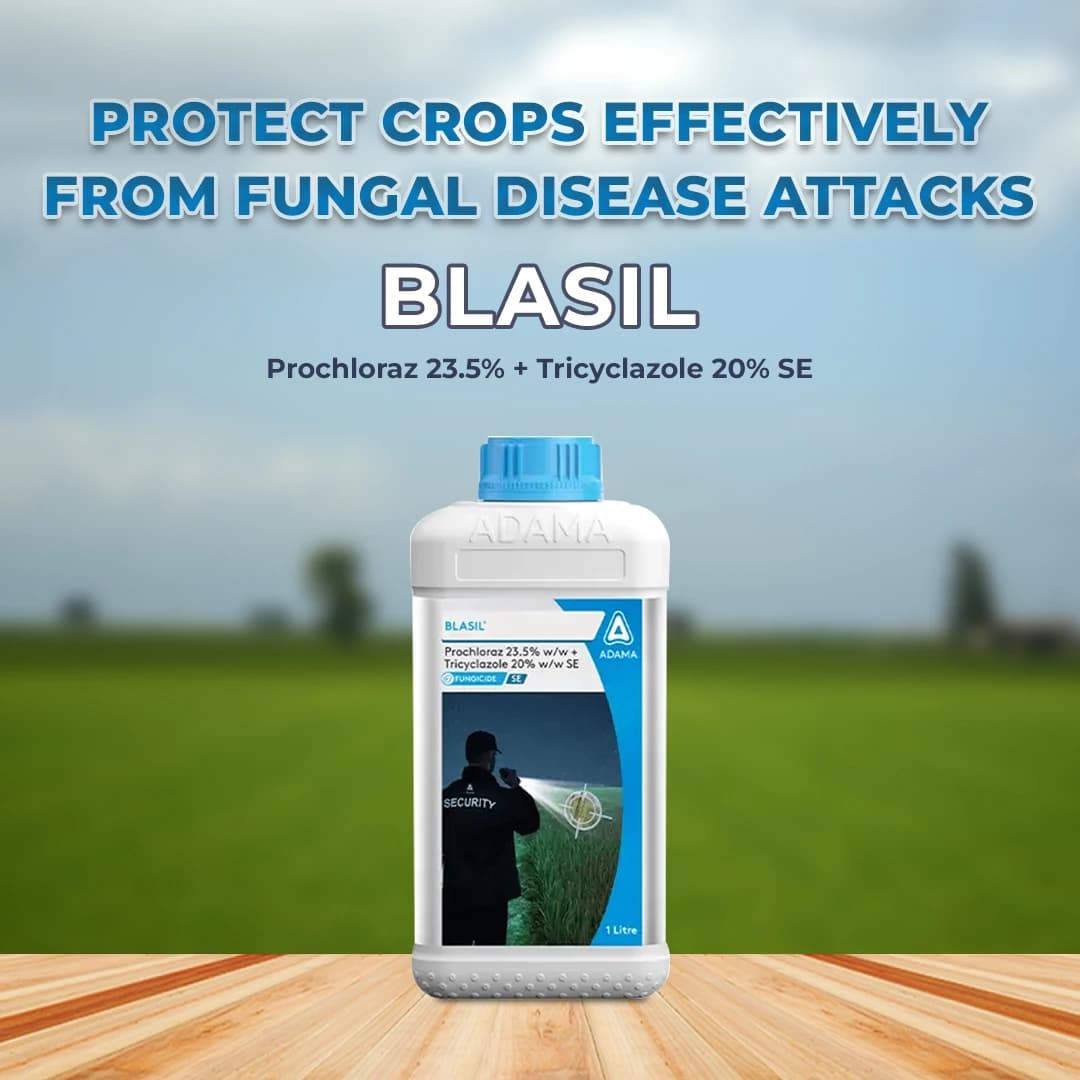 Adama Blasil Prochloraz 23.5% + Tricyclazole 20% SE Fungicide , Helps Rice Farmers to Control Leaf Blast Disease - Image 2