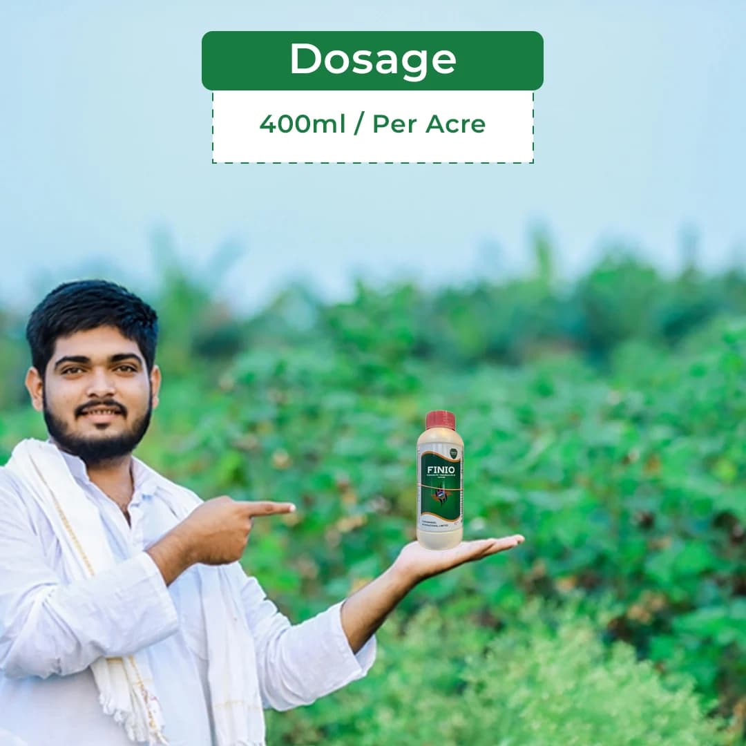 Coromandel Finio Pyriproxyfen 5% + Diafenthiuron 25% SE, Contact and Stomach action Insecticides. - Image 5
