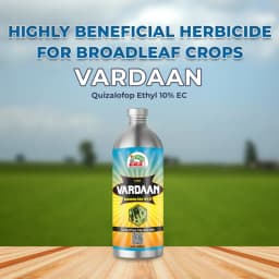 EBS Vardaan Quizalofop-Ethyl 10% EC Herbicide, Used To Control Weeds In Soybean Crops. 2