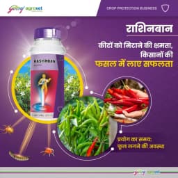 Godrej Rashinban Fluxametamide 3.8% + Pyridaben 9.5% SC Insecticide, Broad Spectrum, Targeting Sucking and Chewing Pests, Effective For Chilli 6