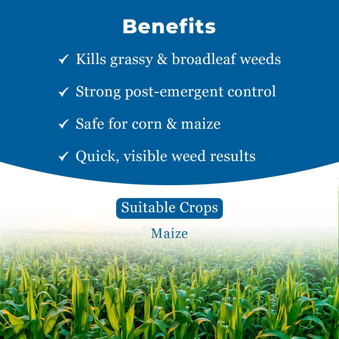 Thakar Chemicals TOEDIS Tembotrione 34.4% SC Herbicide, Post Emergence, Broad-Spectrum, Efficient For Broadleaf And Grassy Weeds In Corn - Image 4