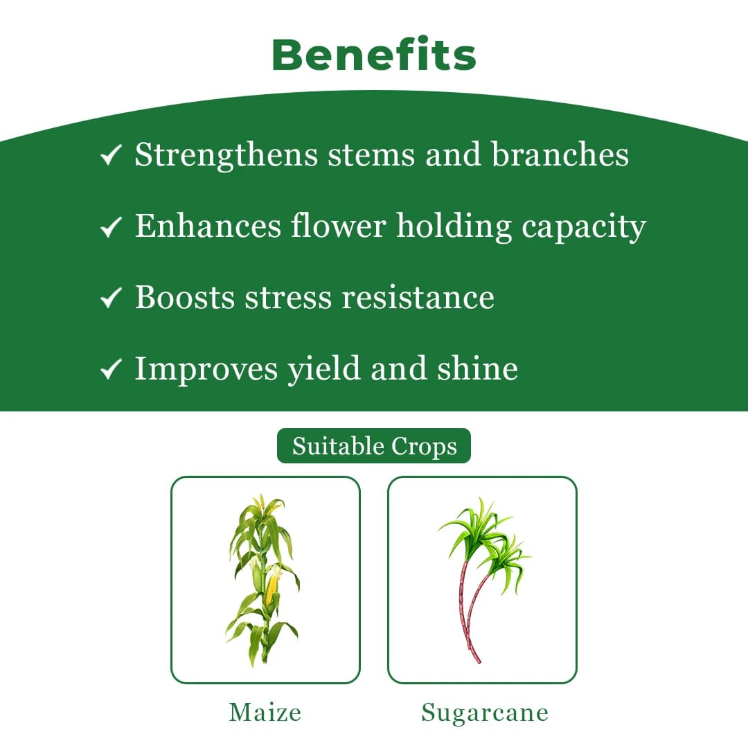 Bayer Foost Herbicide - Image 4