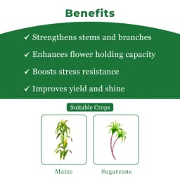 Bayer Foost Atrazine 50%WP Selective Herbicide For Maize And Sugarcane Crops 4