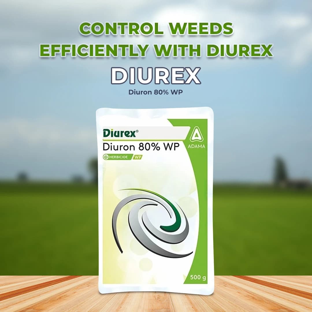 Adama Diurex Herbicide - Image 2