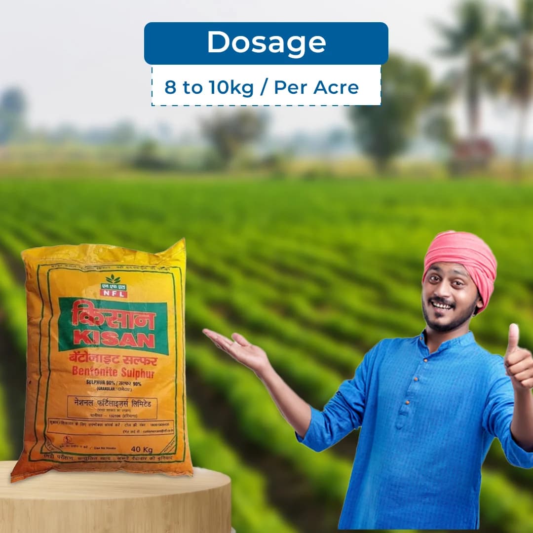 NFL Kisan - Bentonite Sulphur 90% Fertilizer - Image 5