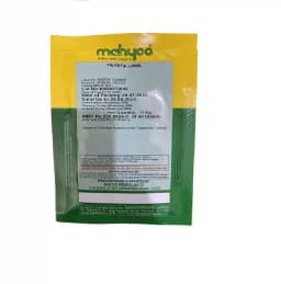 Mahyco Mahy 9024 Hybrid Brinjal Seeds, Attractive Jamuni-Purple Color and Oval-Round Shape Fruit (2000 Seeds) 2