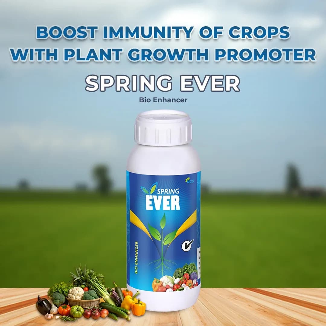 SPRING EVER - Special Plant Growth Promoter, Non-Toxic and Safe to Use, Combination of Humic Acid, Amino Acid, Fulvic Acid, Seaweed Extract, Cytokinin - Image 2