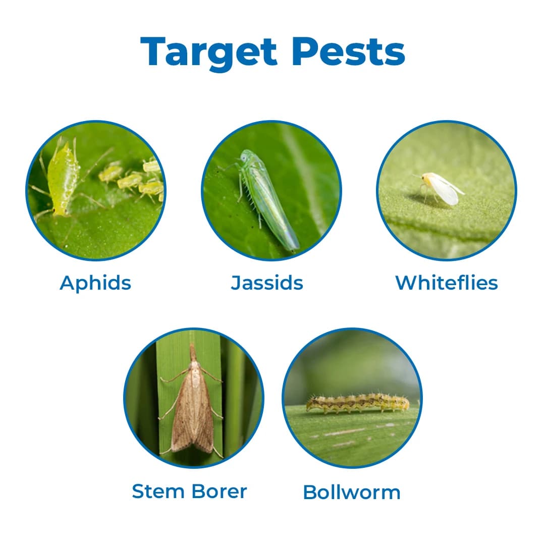 Multiplex Nagfen-D Insecticide - Fenvalerate 0.4% DP - Image 3