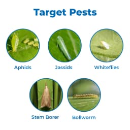 Multiplex Nagfen-D Fenvalerate 0.4% DP Insecticides, Highly Useful for Control of Termites in Agriculture 3