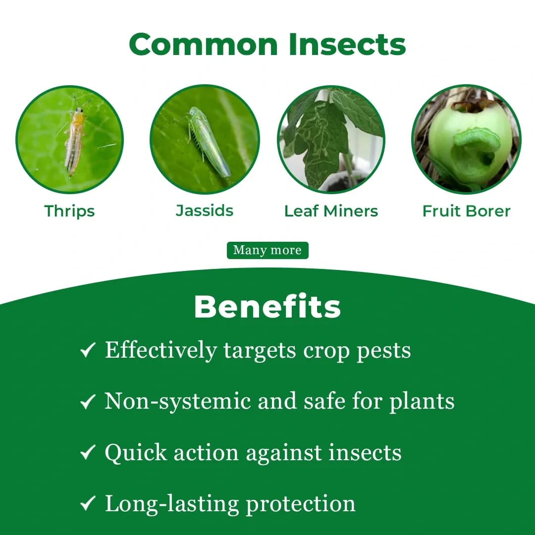 EBS DEL 28 Deltamethrin 2.8% EC Insecticides For Broad Spectrum Control Of Chewing And Sucking Insects. - Image 3