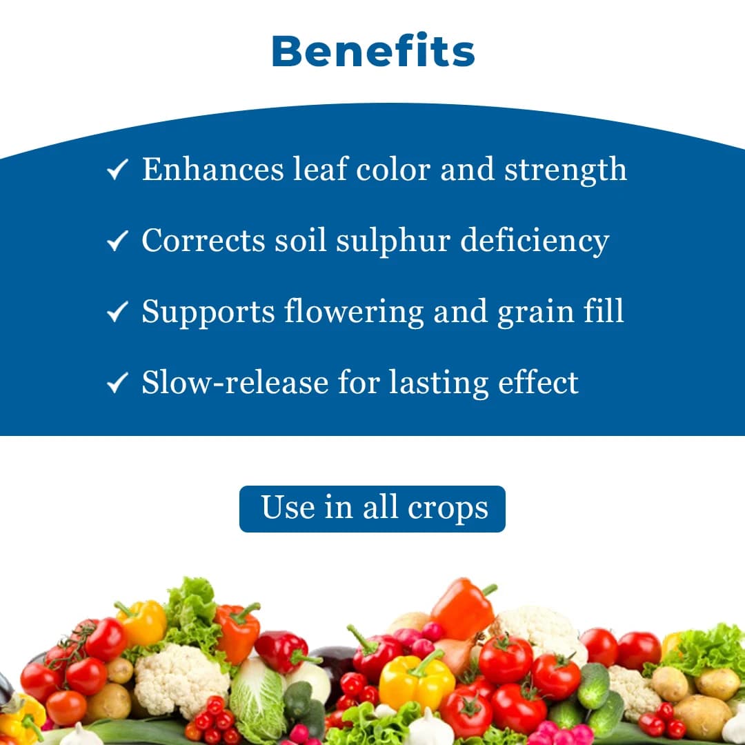 NFL Kisan Sulphur Bentonite 90% Fertilizer, Increases Oil Content In Oil seeds - Image 4