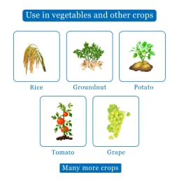 Hindustan Antibiotics Streptocycline, Streptomycin Sulphate 90% + Tetracycline Hydrochloride 10%, Effective Control Of Bacterial Diseases Of Plants 4