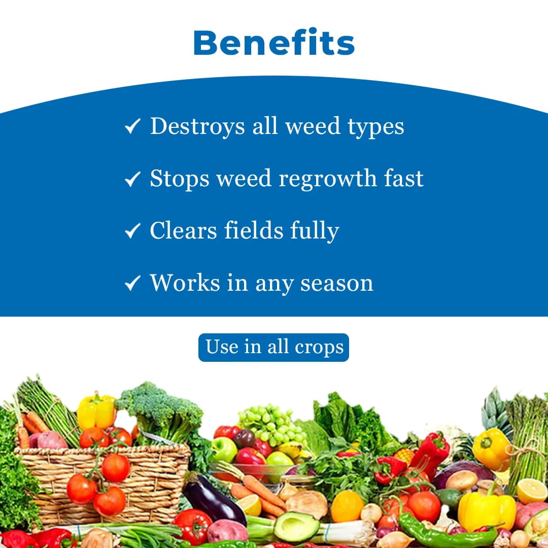 Geolife Natural Cab Anti Cracking and Anti Rotting , Combination Of Calcium And Boron In High Percentage , Advanced Nano Technology - Image 4