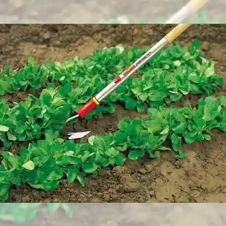 Wolf Garten Fans (BI-M), Uses of Soil Aeration, Improved Water Drainage, Increased Root Growth, Weed Control etc - Image 4