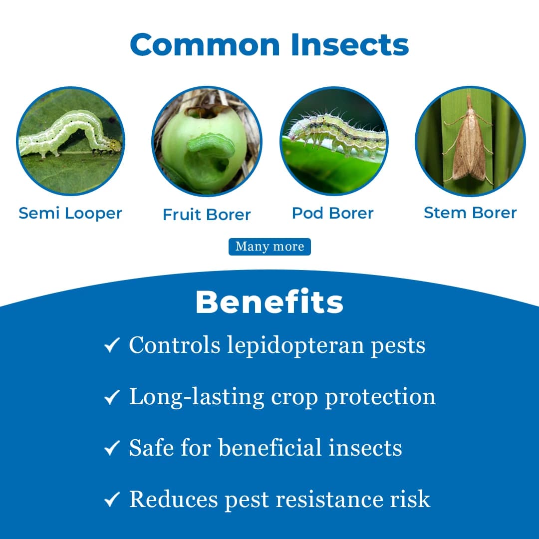 Tata Takumi Insecticide - Image 3